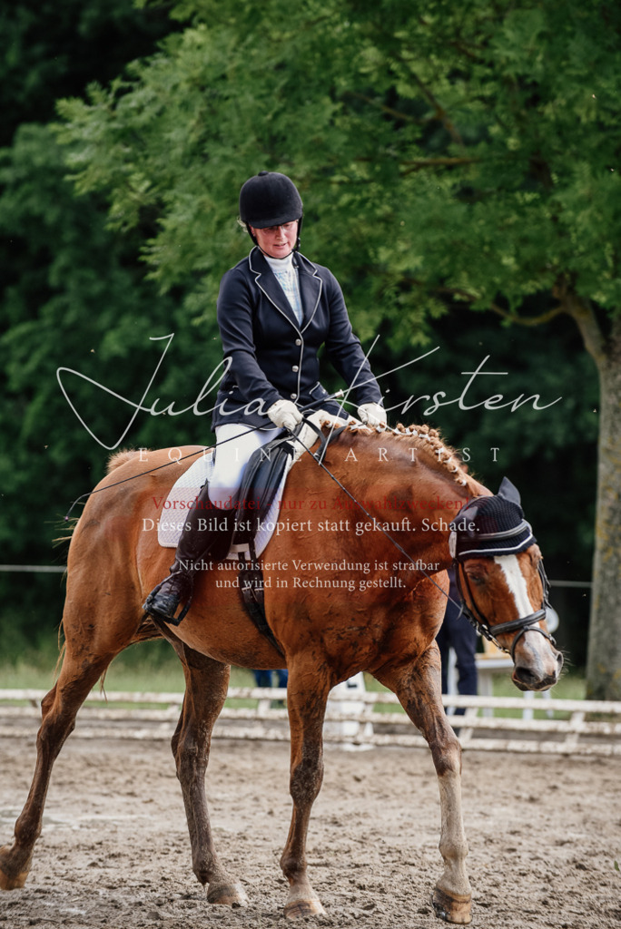 DSC_0725 | Pferde- und Turnierfotografie in Westsachsen. Pferdeportraits, Auftragszeichnungen und intuitive Kunst.