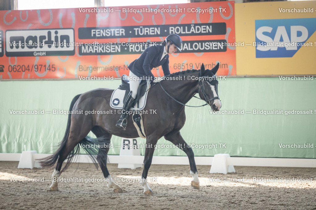 _D5A0700 | Emotionale Pferde- & People-Fotografie rund um Heidelberg, Leimen & Umgebung. Natürliche Fotos von Pferd, Mensch & Familie. Jetzt Termin sichern!