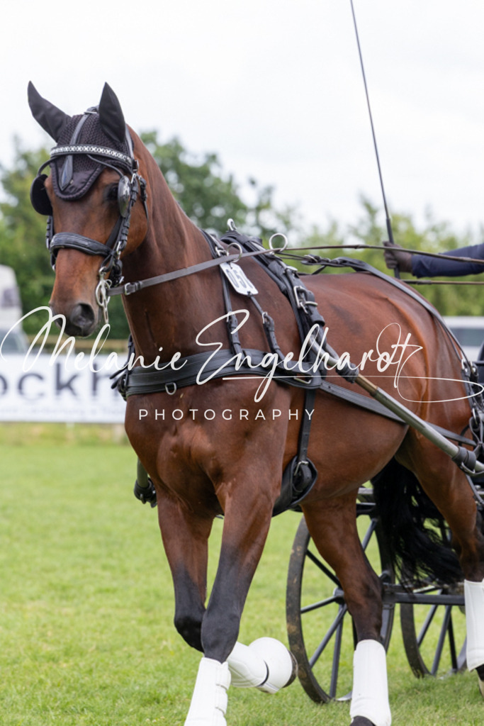 7I8A9970 | melanie-engelhardt-photography - Realisiert mit Pictrs.com
