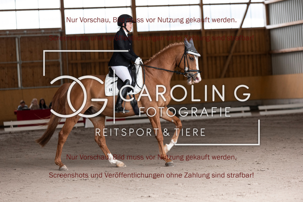 DSC_3313 | Turnierfotografin Carolin Gieschke, Turnierfotografie Carolin G Fotografie, Turnierfotos Kirchheim/Teck, Esslingen, Stuttgart, Bodenseekreis
