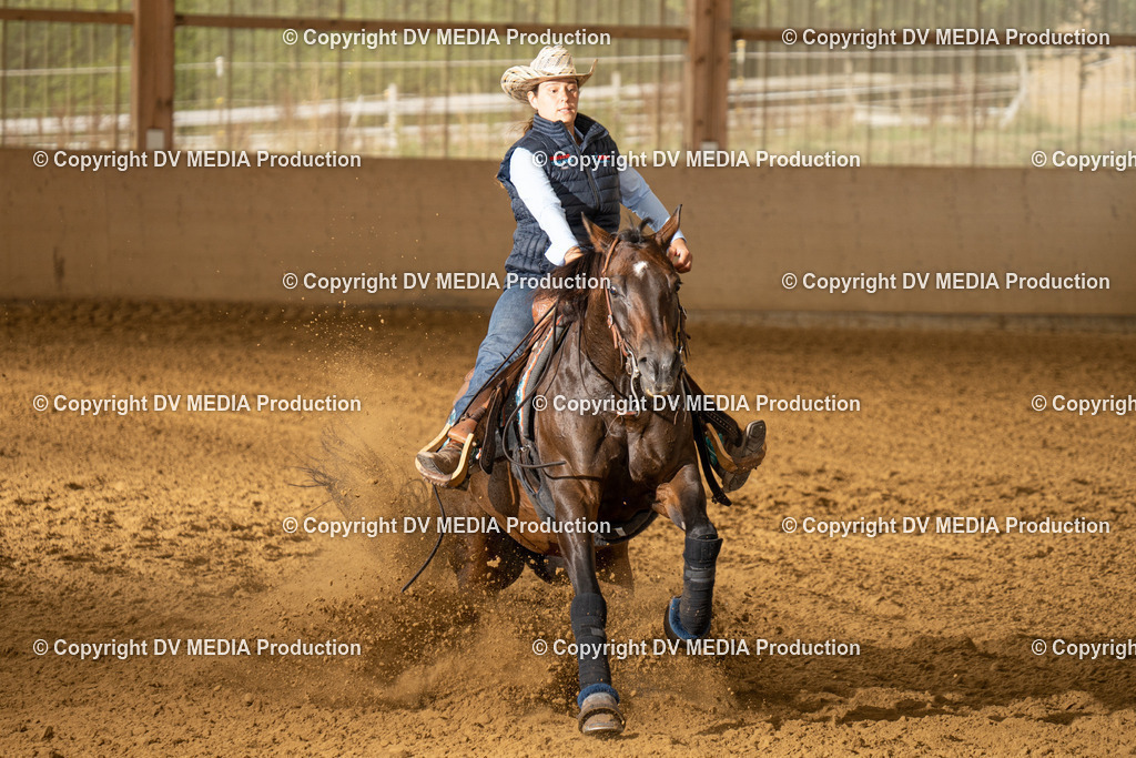 LAU01427 | dv-media-shop - Realisiert mit Pictrs.com