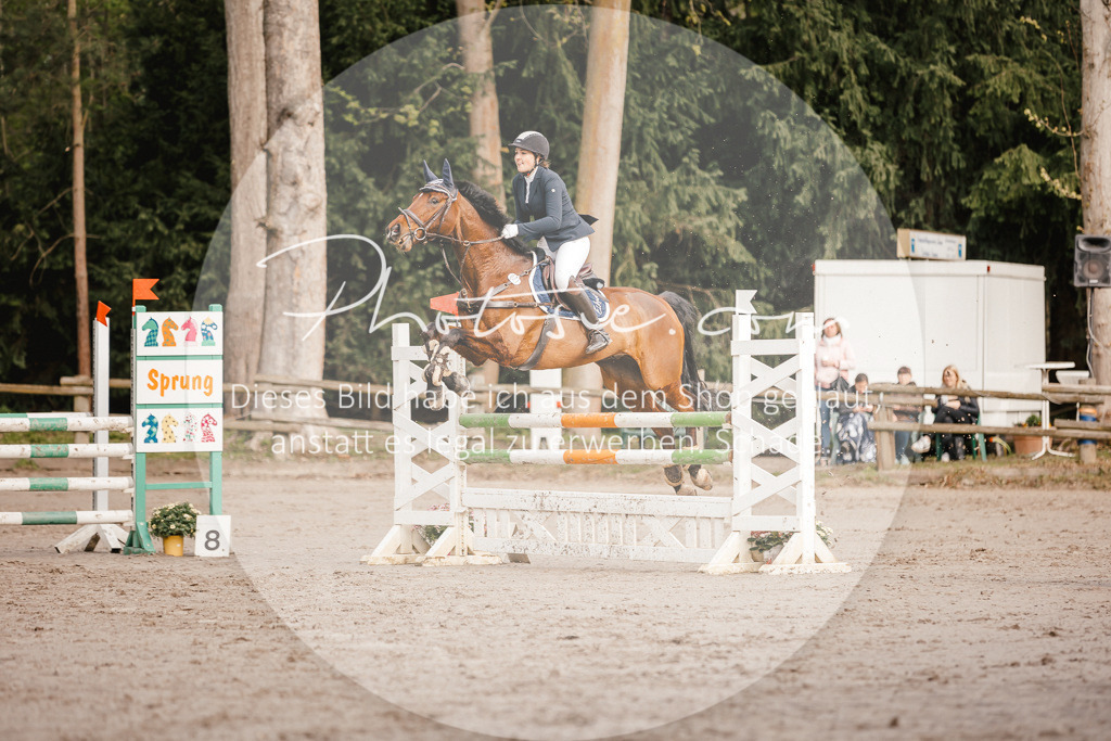 3I6A3293 | Stimmungsvolle Portraits und Reitsportfotografie im Ruhrgebiet und im Münsterland.

Pferdefotografie, Hundefotografie, Tierfotografie, Reportagen, Portraits von Tier und Mensch, Turnierfotografie in Bochum, Recklinghausen, Marl, Haltern am See, Dülmen.. - Realisiert mit Pictrs.com