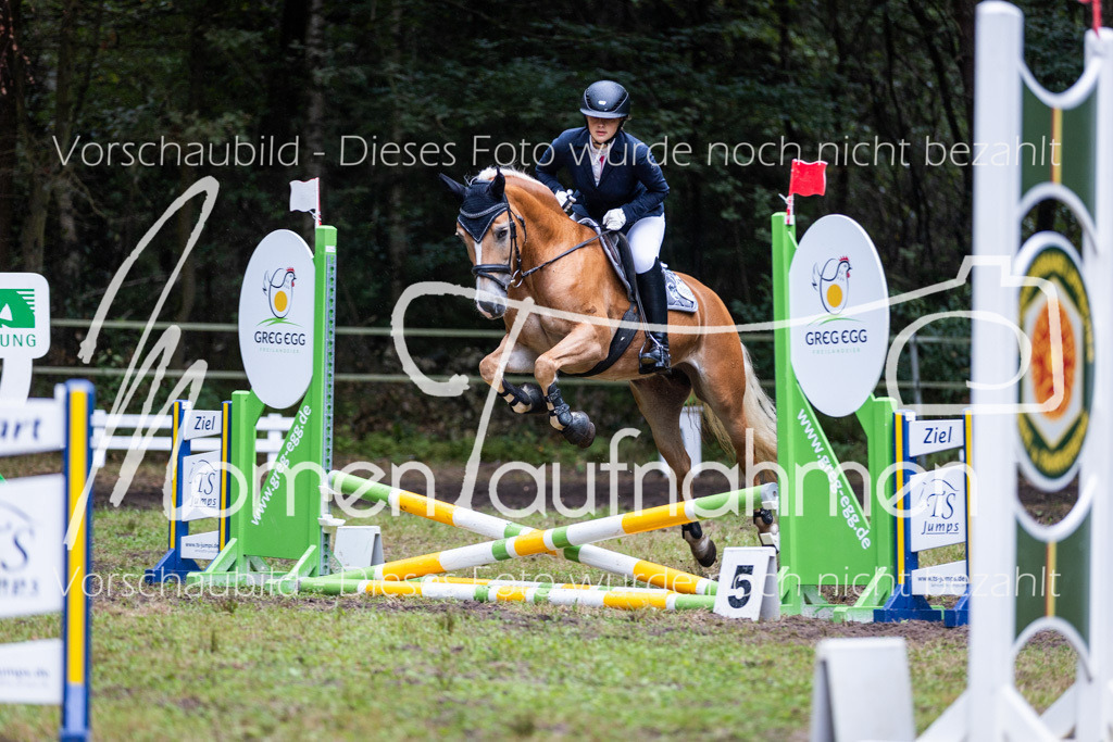 HB-JaD-001 | MomenTaufnahmen Pferdesportfotos