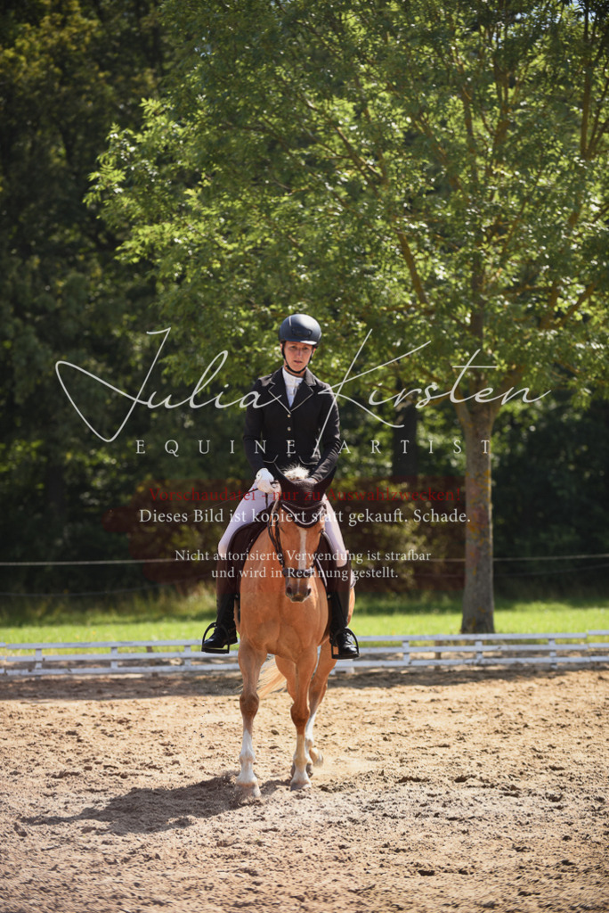 DSC_0602 | Pferde- und Turnierfotografie in Westsachsen. Pferdeportraits, Auftragszeichnungen und intuitive Kunst.