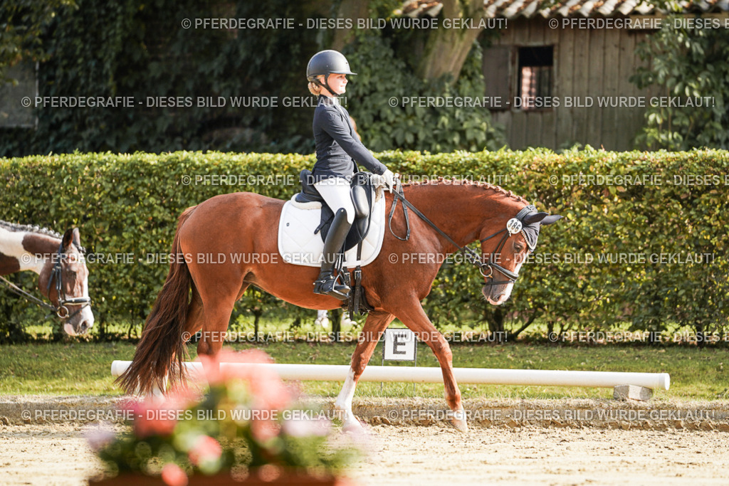 DSC05832 | Pferdegrafie