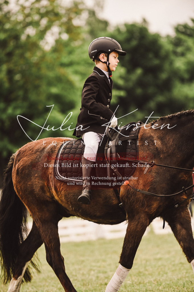 DSC_5323 | Pferde- und Turnierfotografie in Westsachsen. Pferdeportraits, Auftragszeichnungen und intuitive Kunst.