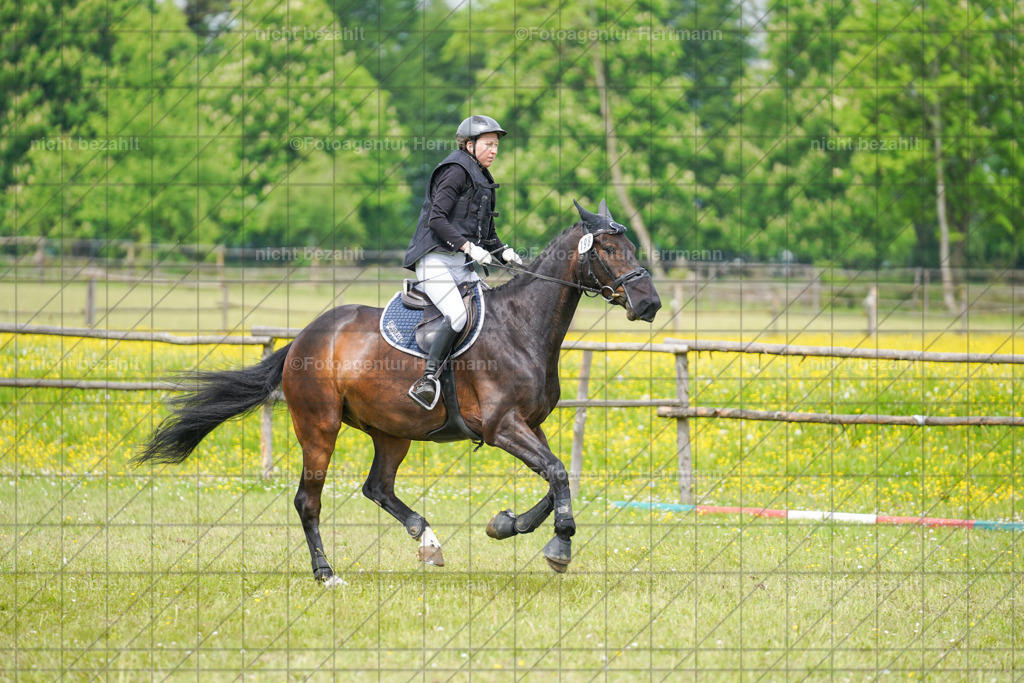 20230520-FAH05190 | Frühjahrsturnier, Landsberg am Lech, 2023, Reitclub Landsberg, Turnierbilder, Fotos Turnier Landsberg, Fotoagentur Herrmann, Turnierfotografen Bayern, Reitsport Fotograf, Pferde Fotograf