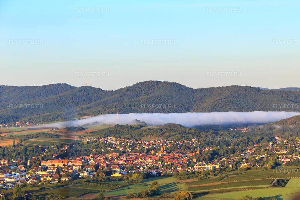 Vue aérienne: Vue de la ville depuis l'est sous un nuage bas à Wissembourg dans le département Bas Rhin, France – .Photo: IMG_138800.jpg prise le 24/09/2023 par Werner Riehm/FLY-FOTO.eu – Résolution de l'original: 4570 x 3046 px