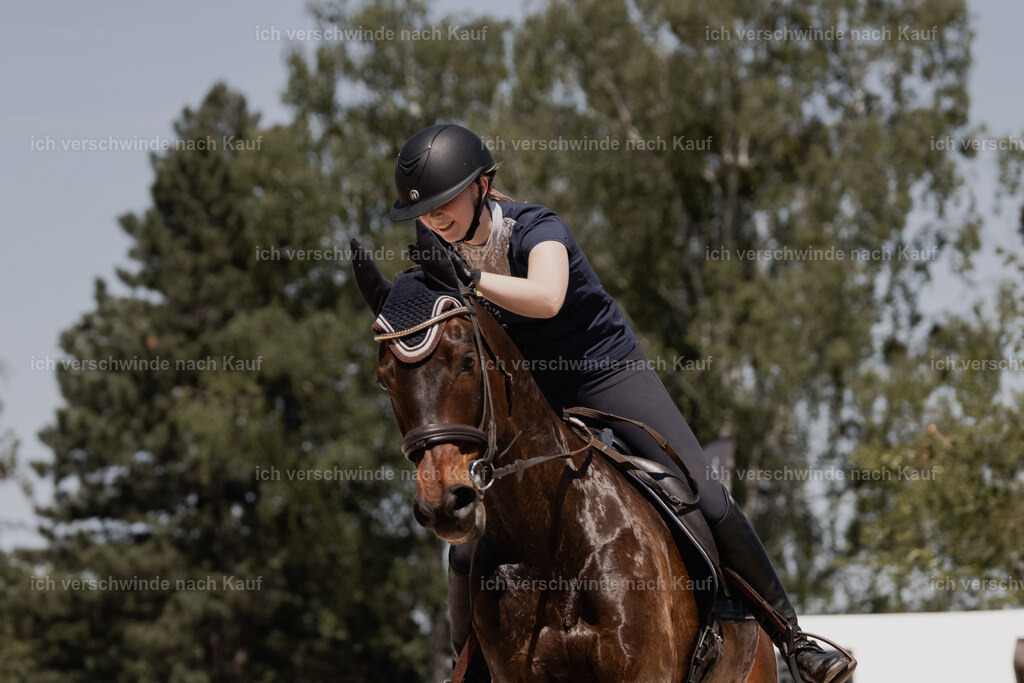 WE_SP_Stoib_333_PI2025_2049 | Pferd International München 2025