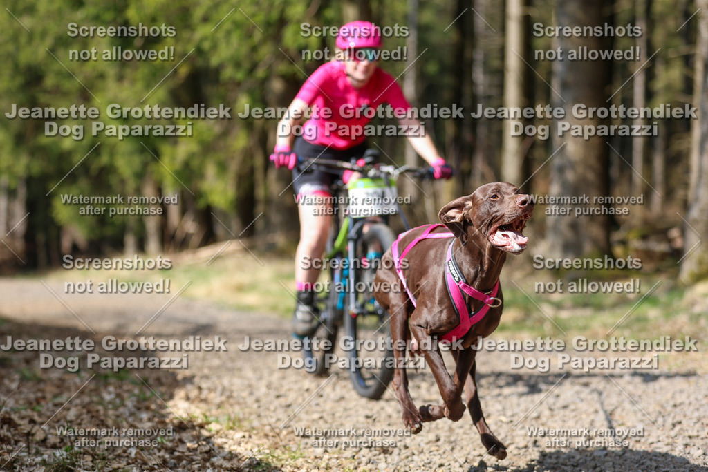 Dog Paparazzi - VCC26-216 | Dog Paparazzi Jeanette Grottendiek Fotografie & Videografie - Realisiert mit Pictrs.com