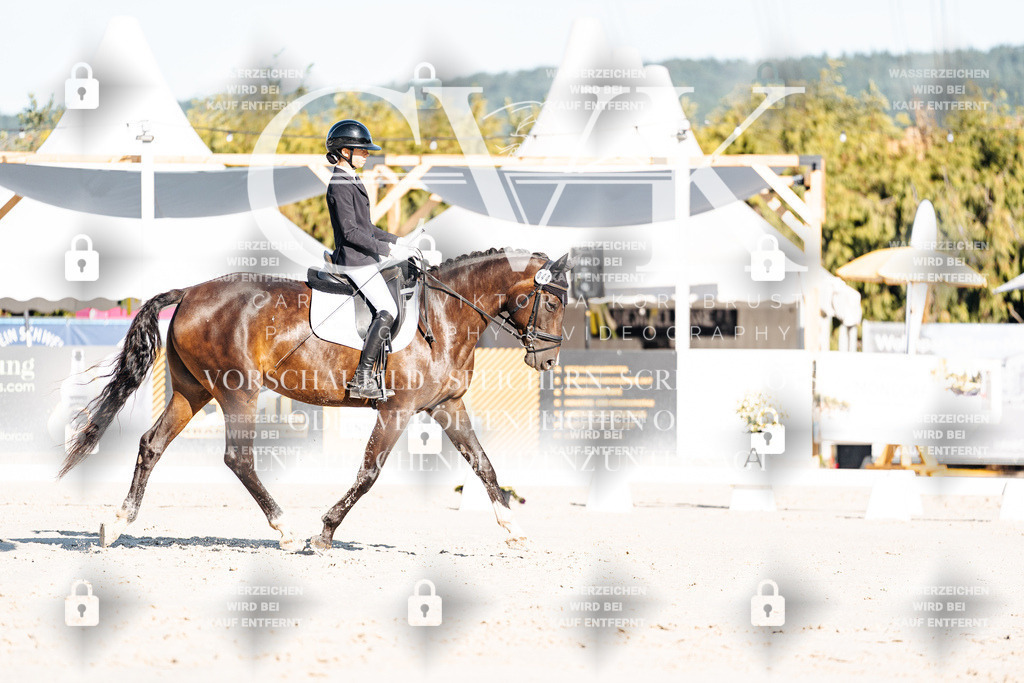 CK907141 | Turnierfotografie Pferdefotografie Trier Rheinland-Pfalz Pferdesport Reitsport Tierfotografie Sportfotografie Pferdevideo Pferdevideografie Equestrianvideography equestrianphotography  - Realisiert mit Pictrs.com