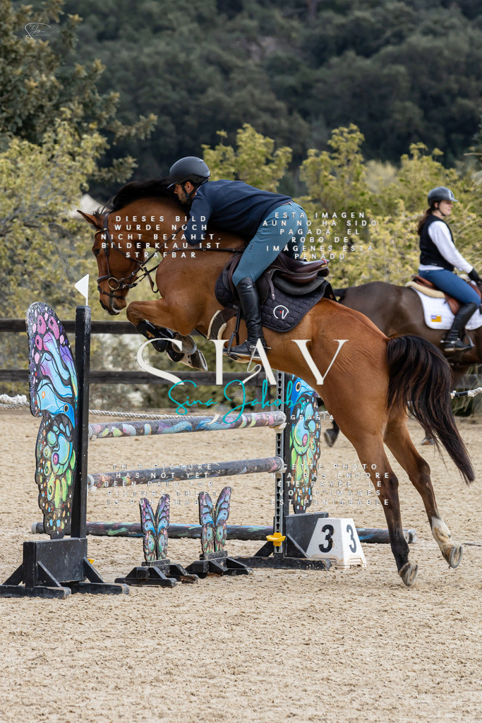 IMG_3950 | s-jay-photography - Realisiert mit Pictrs.com