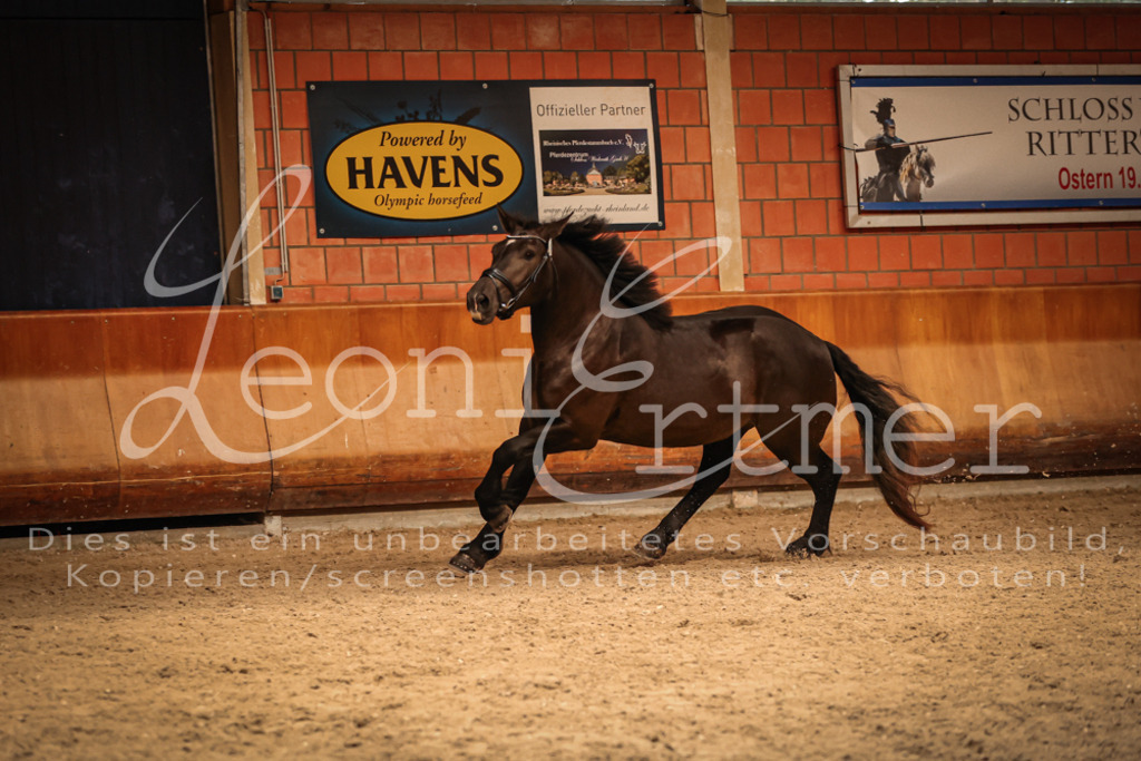 SaFL00391 | Leoni Ertmer Photography - Realisiert mit Pictrs.com