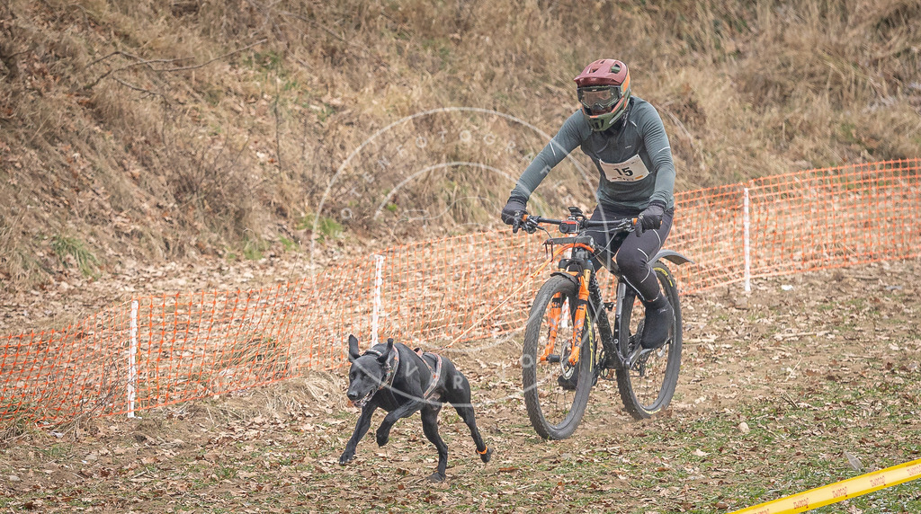 Pfotenfotografie_DV3A6842 | Hundefotografie, Tierfotograf, Pfotenfotografie, Fotoshooting Hund, Hunde Portrait, Hundesport, Hundeportraits, Heideshooting, Hunde, Sportfotograf, Hundefotograf, Turnierhundsport, THS,  - Realisiert mit Pictrs.com