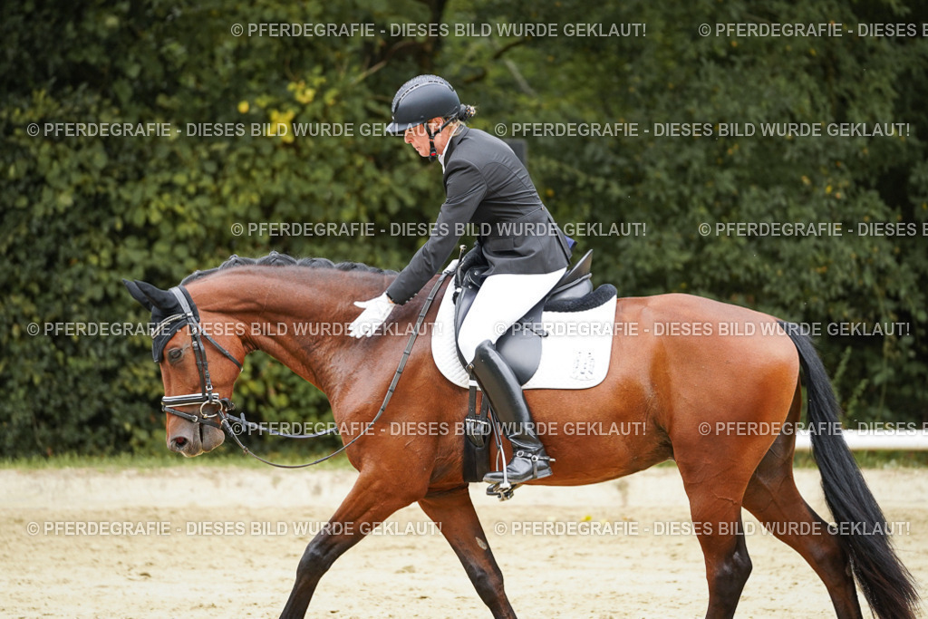 DSC09833 | Pferdegrafie