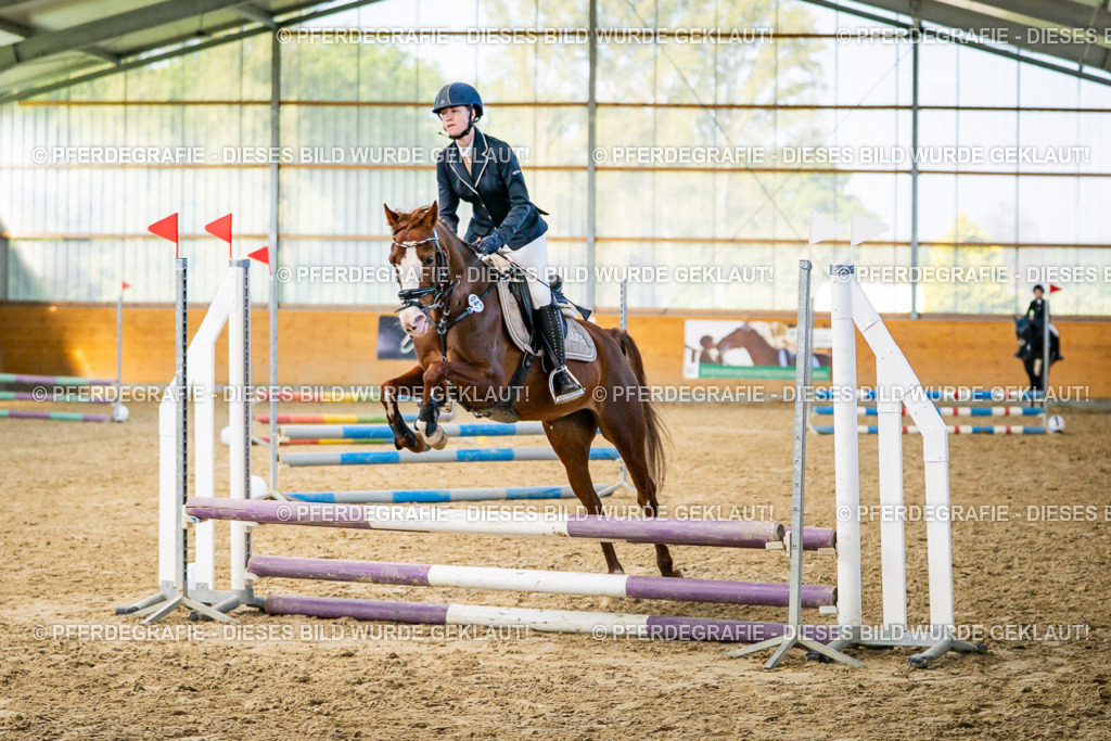 DSC00959 | Pferdegrafie