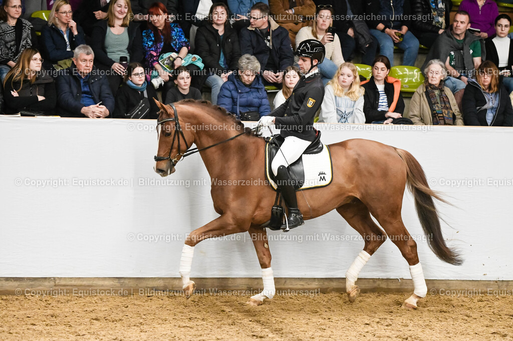 20260307_Hengstvorstellung-Marbach_0236 | equistock