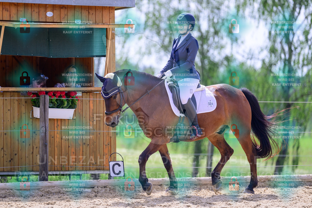 30052026-Forstinning-Prfg07-1183 | Fokus Hufschlag Fotografie - Realisiert mit Pictrs.com