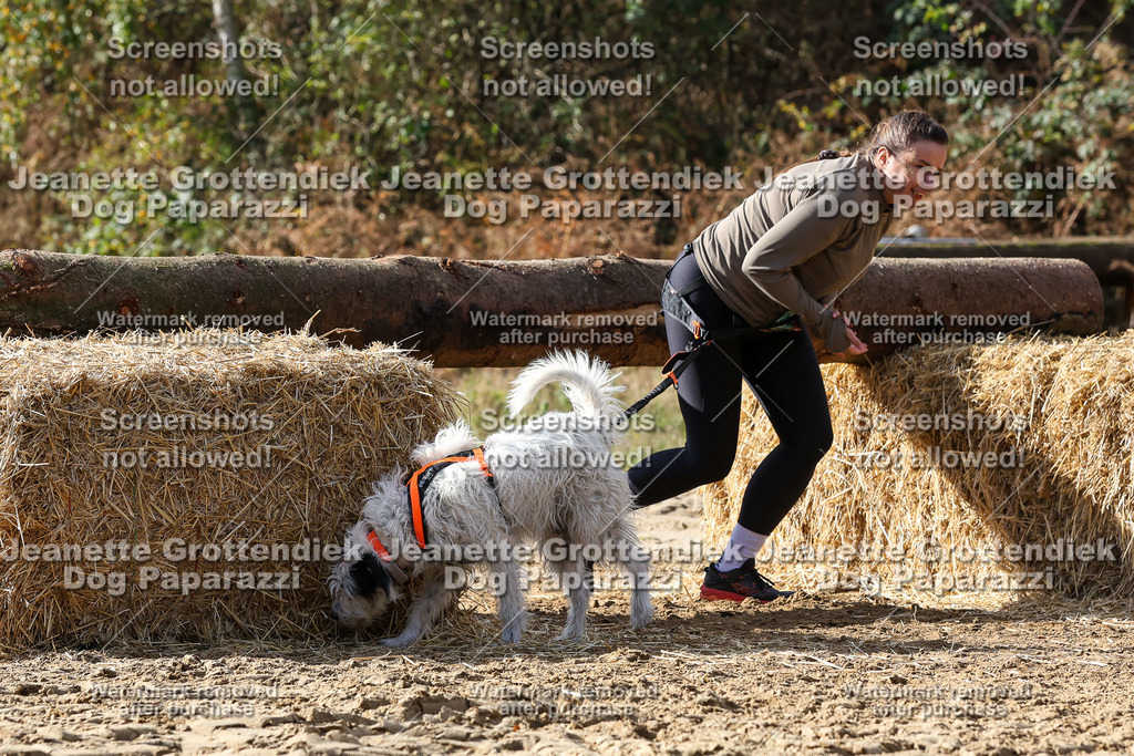 Dog Paparazzi - Strongdog 10-25-5272 | Dog Paparazzi Jeanette Grottendiek Fotografie & Videografie - Realisiert mit Pictrs.com