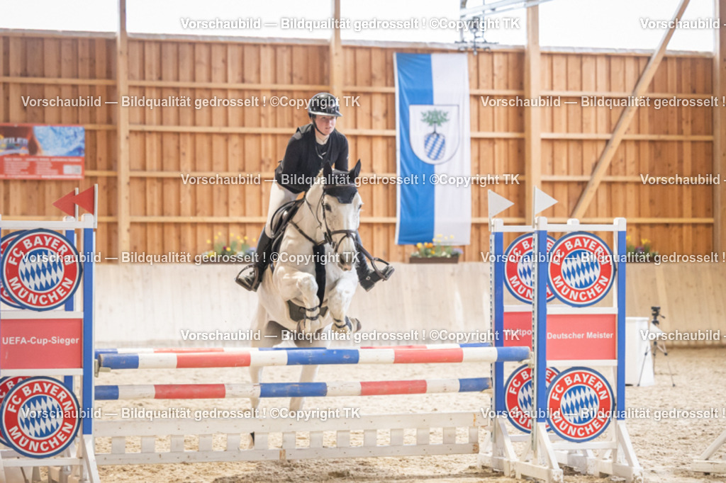 _D5A8264 | Emotionale Pferde- & People-Fotografie rund um Heidelberg, Leimen & Umgebung. Natürliche Fotos von Pferd, Mensch & Familie. Jetzt Termin sichern!