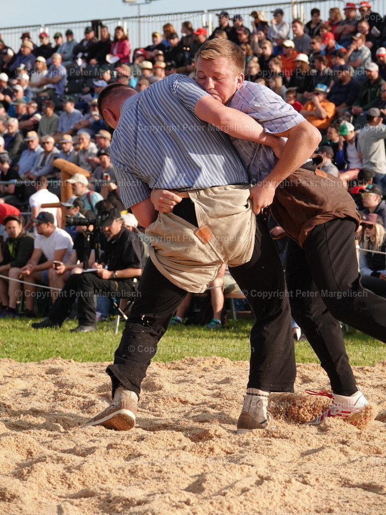 DSC06609 | Schwingen - Realisiert mit Pictrs.com