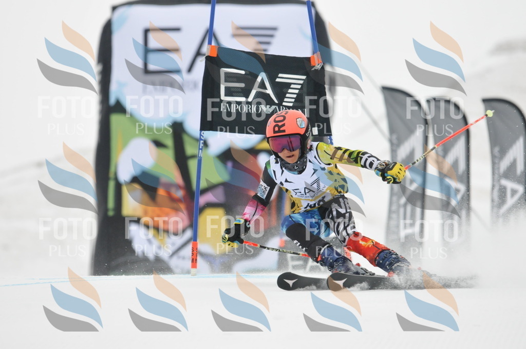 DSC_8492 | holidayphoto