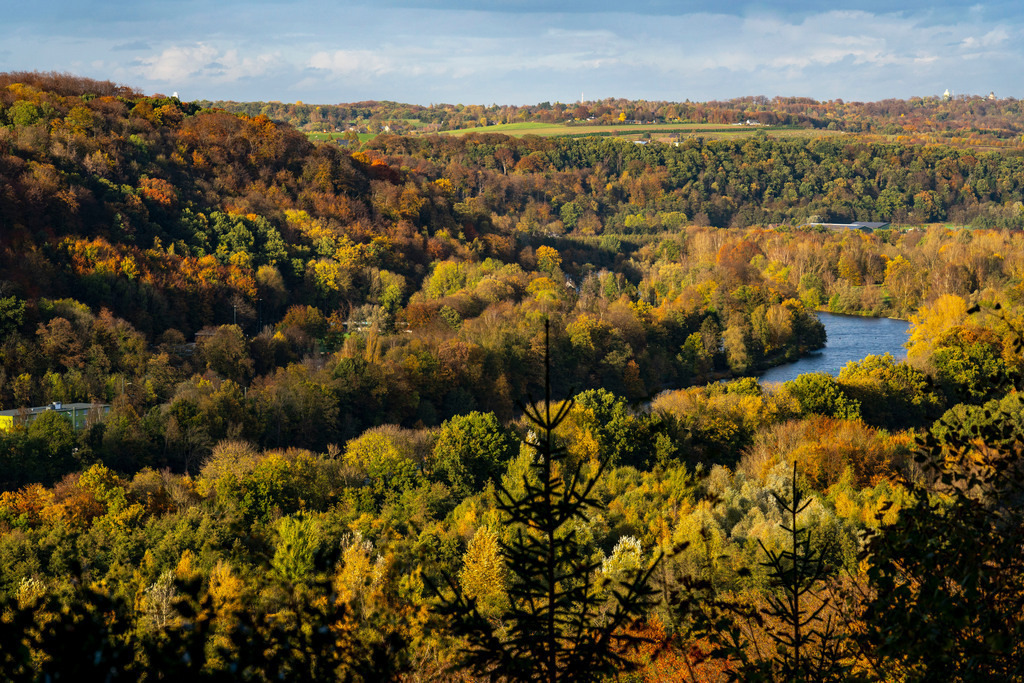 JT-201029 | Herbstlicher Wald entlang des Ruhrtal zwischen Essen-Kettwig und Essen-Werden, vom Oefter Wald aus gesehen, Essen, NRW, Deutschland - Realisiert mit Pictrs.com