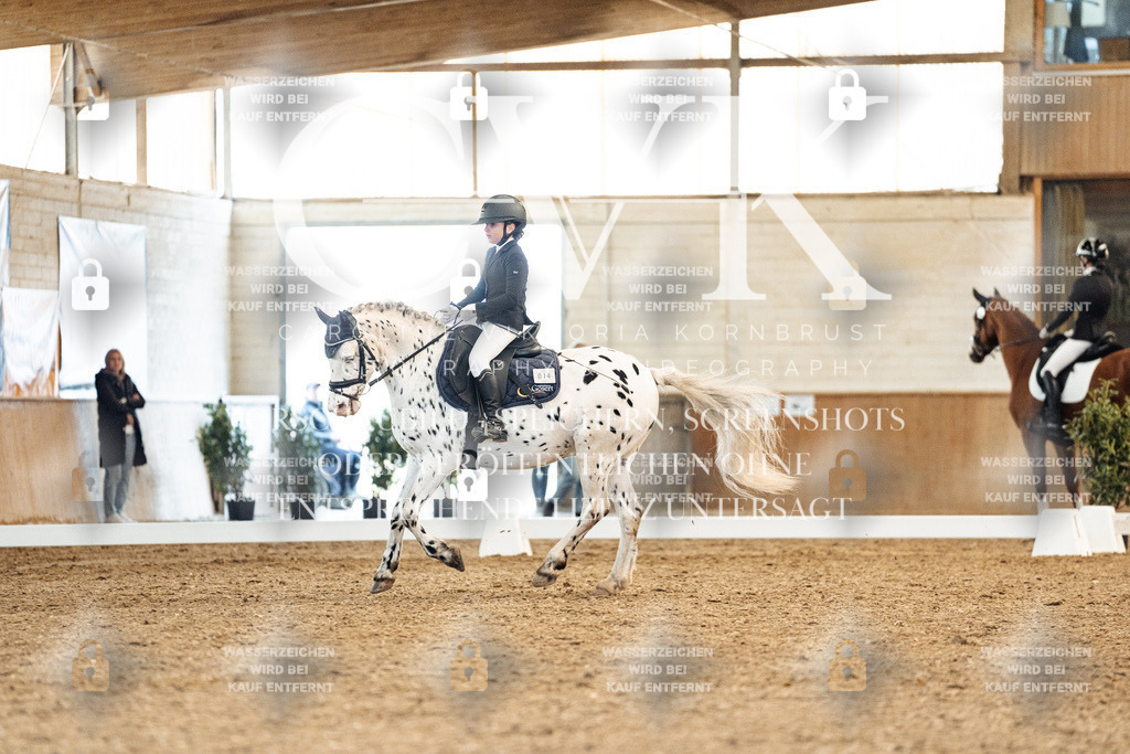 CK908930 | Turnierfotografie Pferdefotografie Trier Rheinland-Pfalz Pferdesport Reitsport Tierfotografie Sportfotografie Pferdevideo Pferdevideografie Equestrianvideography equestrianphotography  - Realized with Pictrs.com