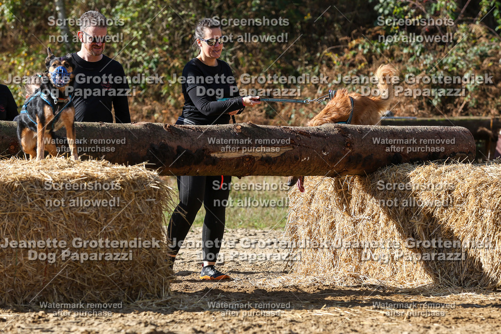 Dog Paparazzi - Strongdog 10-25-4837 | Dog Paparazzi Jeanette Grottendiek Fotografie & Videografie - Realisiert mit Pictrs.com