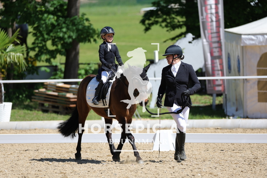 0P6A0292 | Willkommen bei Brunnmayr - Design & Fotografie – Ihrem Spezialisten für Reitturniere und Pferdeveranstaltungen in Oberösterreich, Salzburg und Bayern! Seit über 17 Jahren sind wir leidenschaftlich dabei.