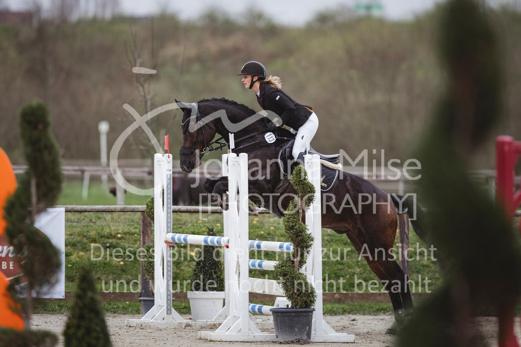 240330_Fruehlingsfest_Stil-A2-2-714 | Deine schönsten Turniermomente als professionelle Fotos! Entdecke hochwertige Pferdesport-Fotografie im Online-Shop. Jetzt Fotos finden & bestellen!