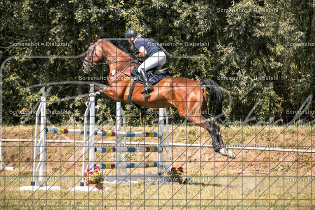 _W6A9861 | ronjaprokoschfotografie - Realisiert mit Pictrs.com