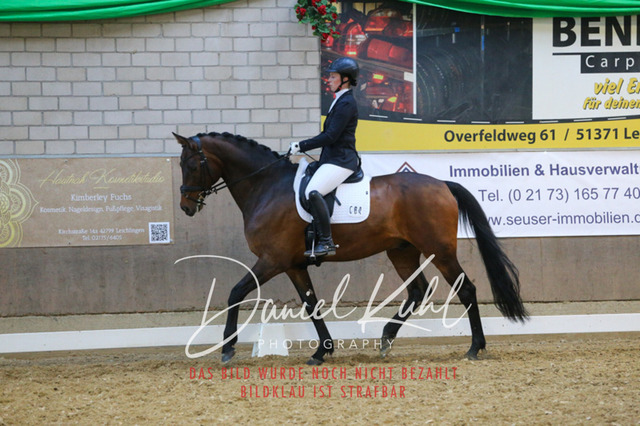IMG_2870 | Turnierfotos kaufen im Webshop von Daniel Kuhl Photography – entdecke professionelle Reitsportfotos aus Turnieren & Events. Hochwertige Turnierbilder online bestellen & sichern. Jetzt Fotos von Reitsportturnieren kaufen!