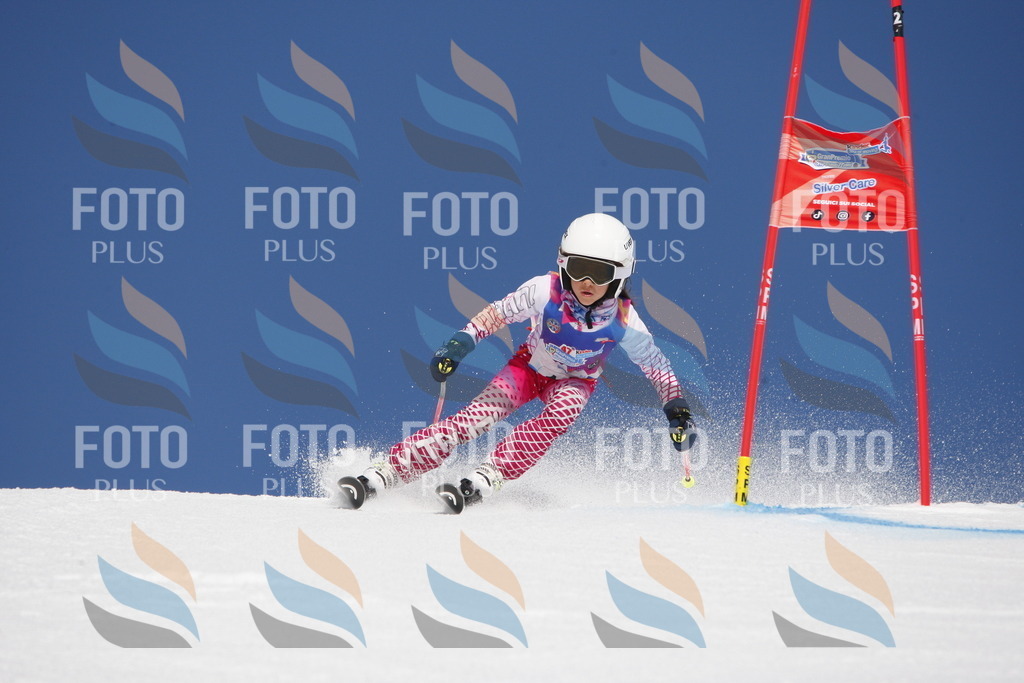 _W1G1730 | holidayphoto