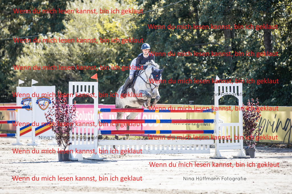 BK1A6810 | Turnierbilder Turnierfotos Nina Hüffmann Turnierfotografie Pferdefotografie Tierzeichnung Haustierzeichnung Pferdezeichnung Hundezeichnung Videograf  - Realisiert mit Pictrs.com