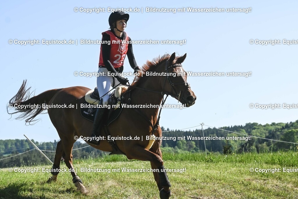 20250517_CCI2_Gelände_0706 | Foto: Thomas Hartig