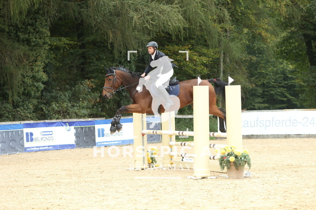 DL2Q6539 | Willkommen bei Brunnmayr - Design & Fotografie – Ihrem Spezialisten für Reitturniere und Pferdeveranstaltungen in Oberösterreich, Salzburg und Bayern! Seit über 17 Jahren sind wir leidenschaftlich dabei.