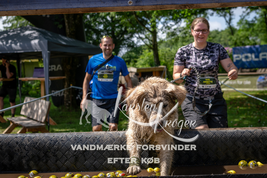 1145_ZZ94823 | kk-dogfotos