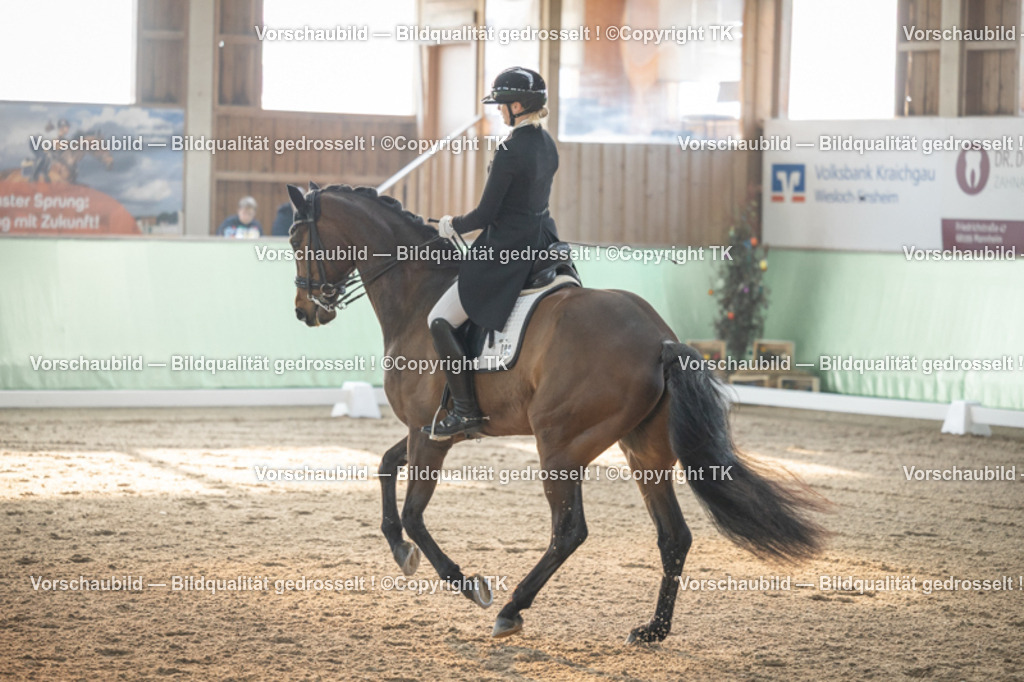 _D5A7783 | Emotionale Pferde- & People-Fotografie rund um Heidelberg, Leimen & Umgebung. Natürliche Fotos von Pferd, Mensch & Familie. Jetzt Termin sichern!