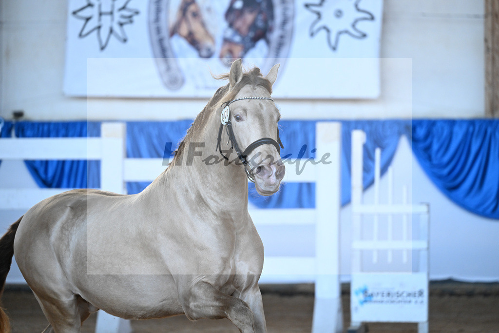 Kat-Nr. 2 Bonito Salazar v. Trianero PT_Abfalter GmbH _ Co. KG_9260050 | hf-fotografie - Realisiert mit Pictrs.com