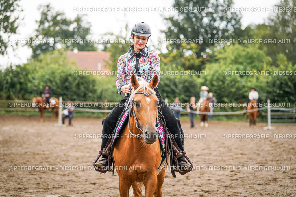 DSC04861 | Pferdegrafie