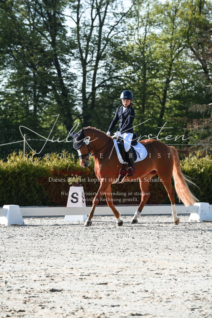 20230518_JK-Röhrsdorf-09-0253 | Pferde- und Turnierfotografie in Westsachsen. Pferdeportraits, Auftragszeichnungen und intuitive Kunst.