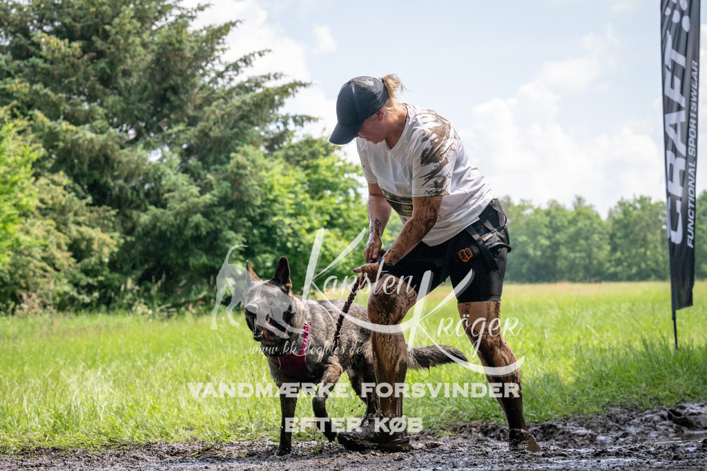 1148_ZZ94663 | kk-dogfotos