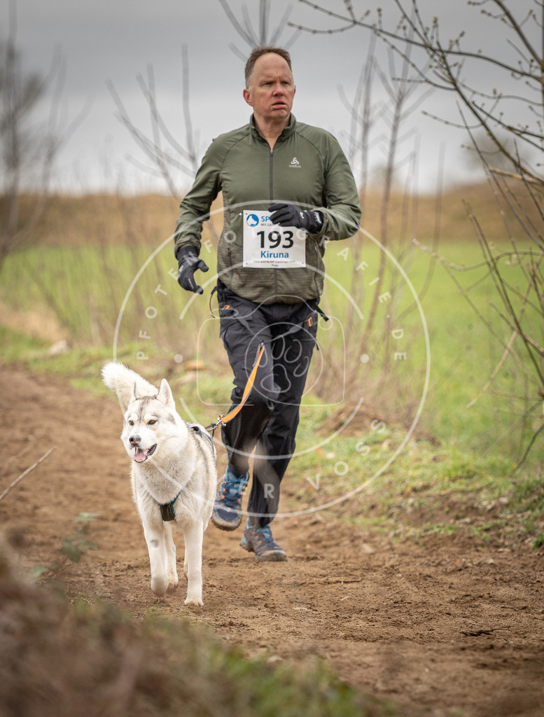 DV3A2238 | Hundefotografie, Tierfotograf, Pfotenfotografie, Fotoshooting Hund, Hunde Portrait, Hundesport, Hundeportraits, Heideshooting, Hunde, Sportfotograf, Hundefotograf, Turnierhundsport, THS,  - Realisiert mit Pictrs.com