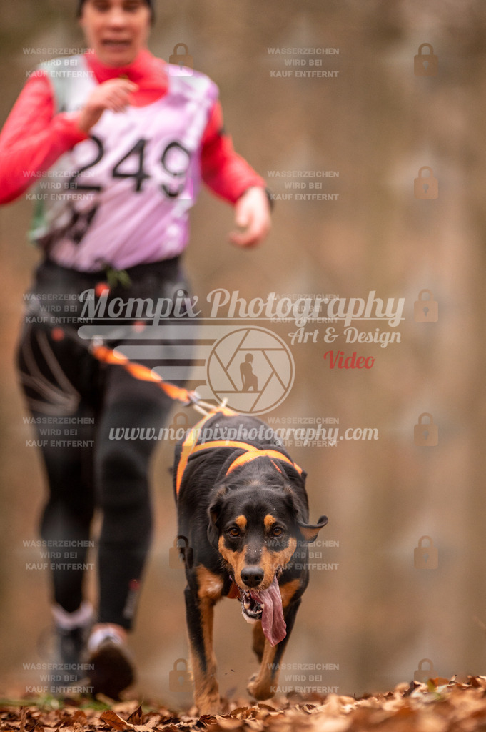AKM_ST_2023_Son_Run-118 | PayLife
