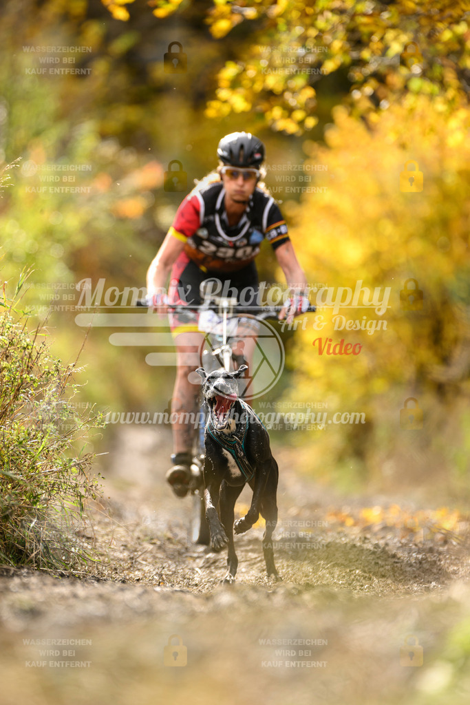 MompixPhotography_ICF_WC_2024_SA_Bike_-385 | PayLife