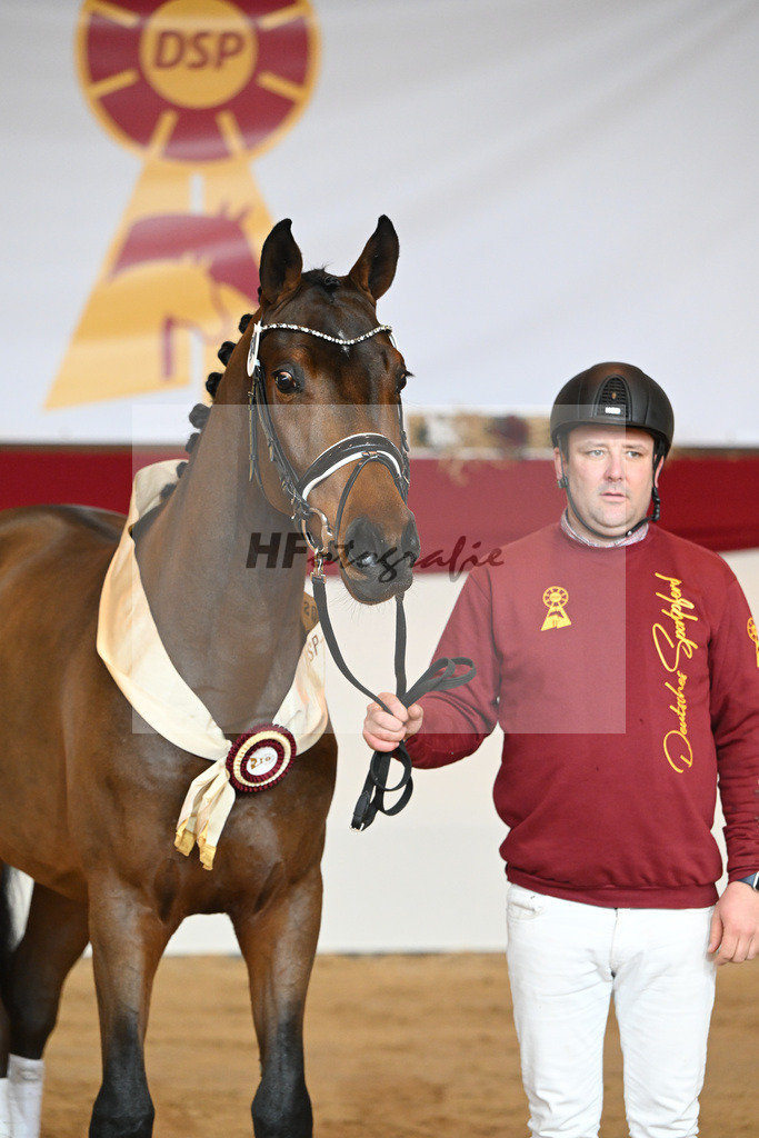 Kat-Nr. 59 Fuerst Samarant_Reesink Horses_1231976 | hf-fotografie - Realisiert mit Pictrs.com