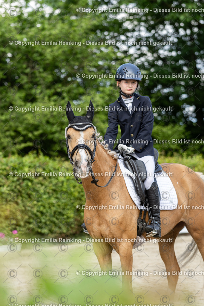 CL5A1227 | Emilia Reinking Fotografie - Realisiert mit Pictrs.com