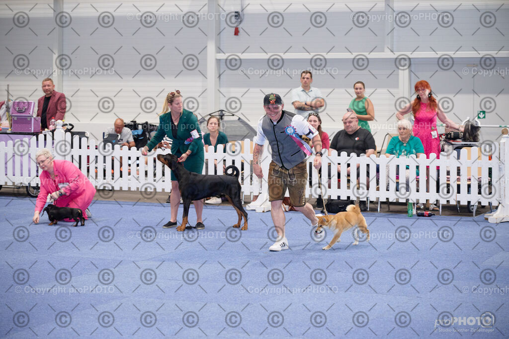 202406_ÖKV-IHA-Tulln24_NZ9_7767 | proPHOTO - Realisiert mit Pictrs.com