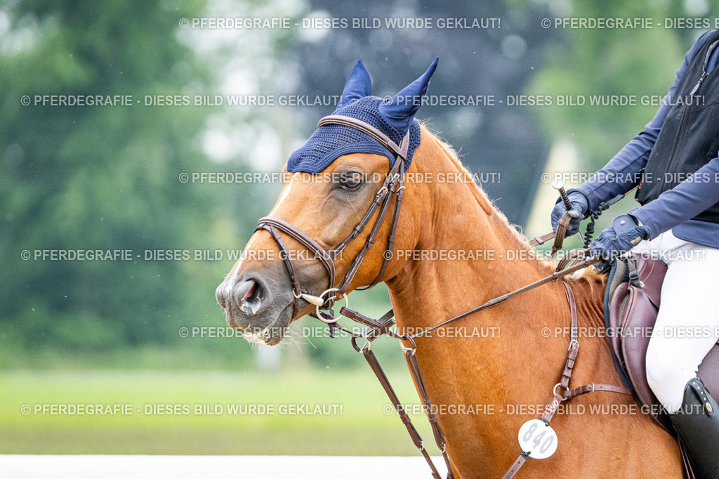 DSC00432 | Pferdegrafie